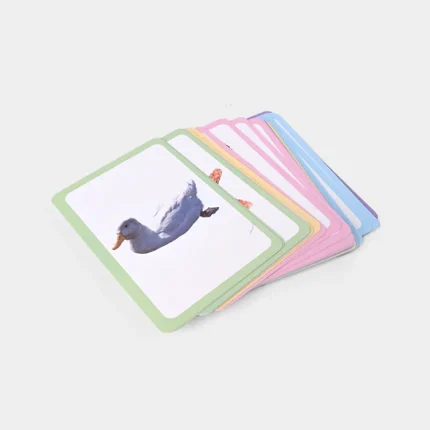 Animal Flash Card