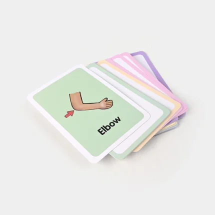 Body Parts Flash Card